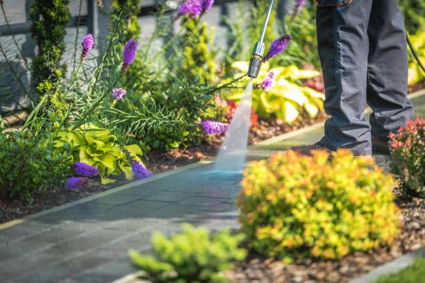 Best Sidewalk and Walkway Cleaning  in Alamae, NC