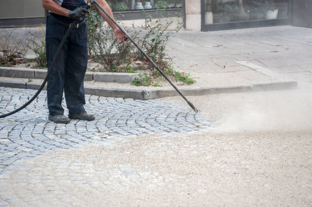 Best Roof Washing  in Alamae, NC