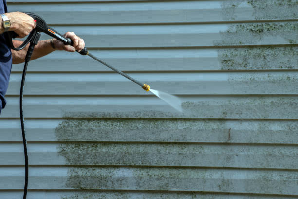 Best Patio and Deck Pressure Washing  in Alamae, NC